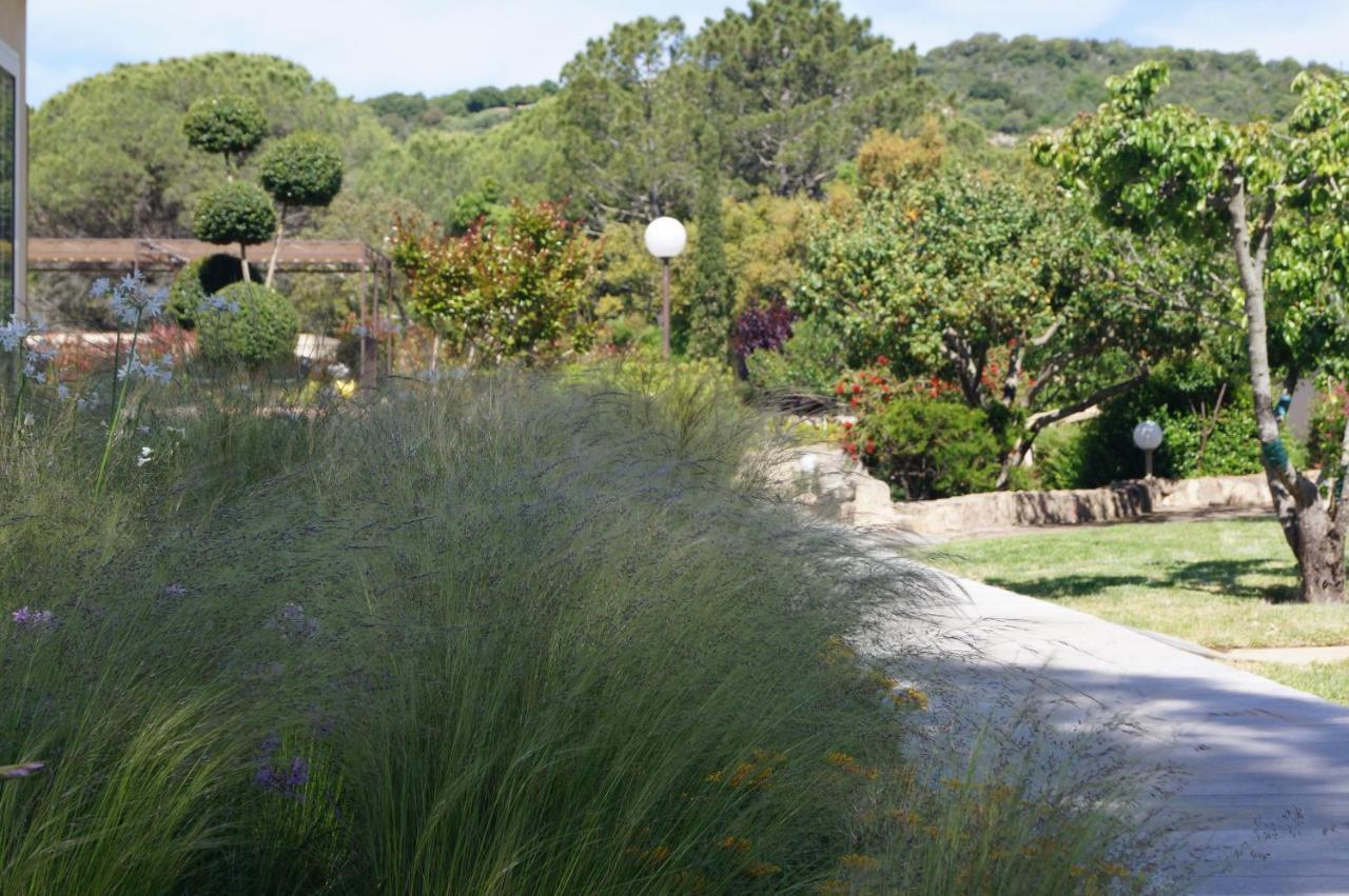 Maison d'hôtes Les Jardins De Santa Giulia - Charmante D'hôte *