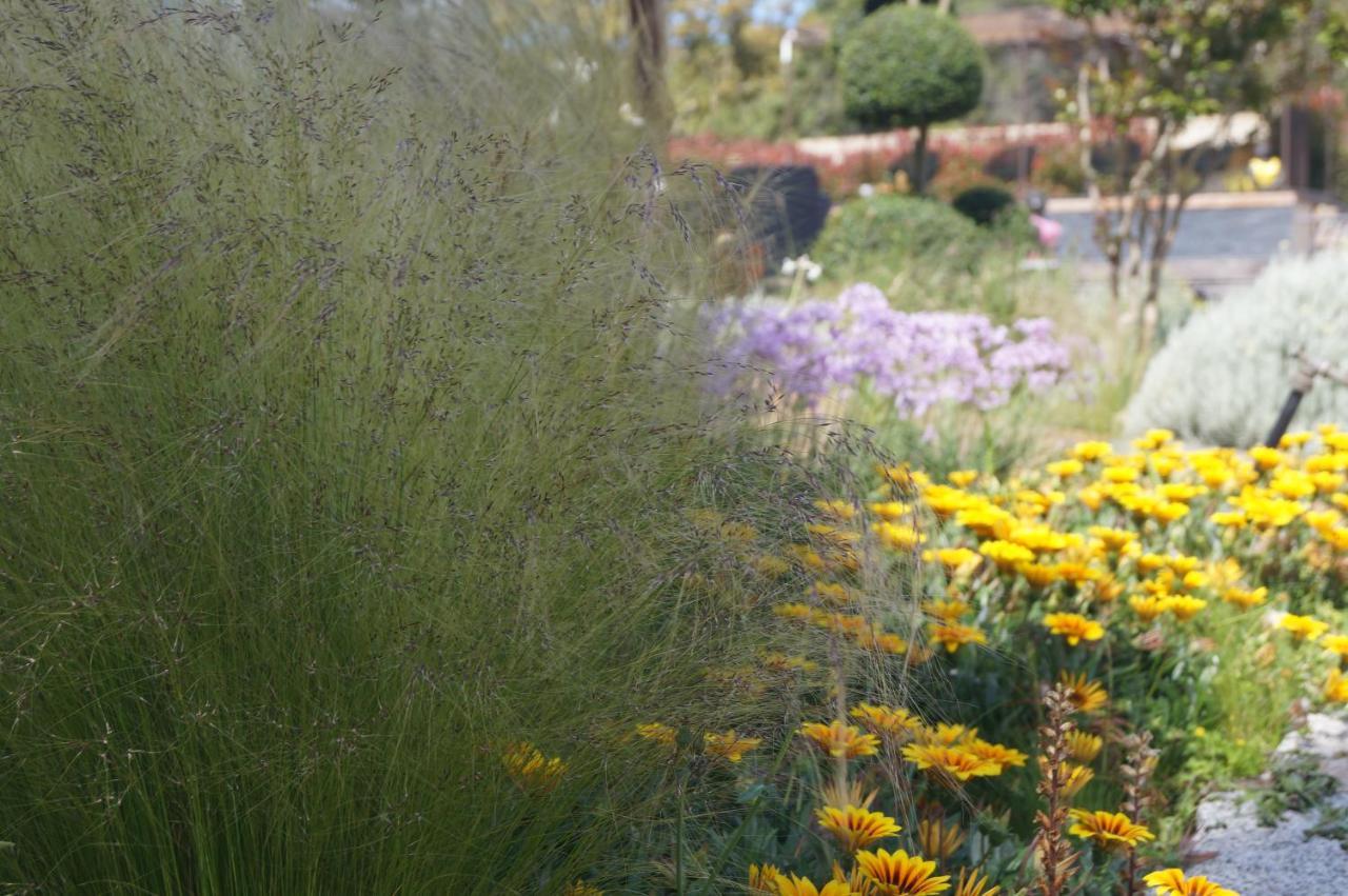 Les Jardins De Santa Giulia - Charmante D'hôte * Porto-Vecchio (Corsica)